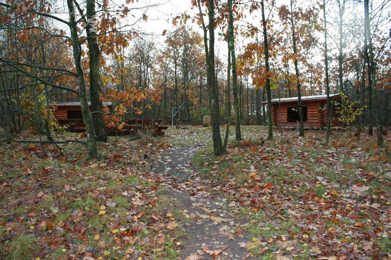 Mejrup Bed And Breakfast Holstebro Kültér fotó